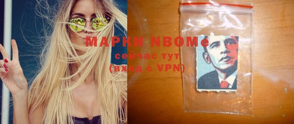 сатива Бородино