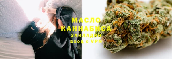сатива Бородино