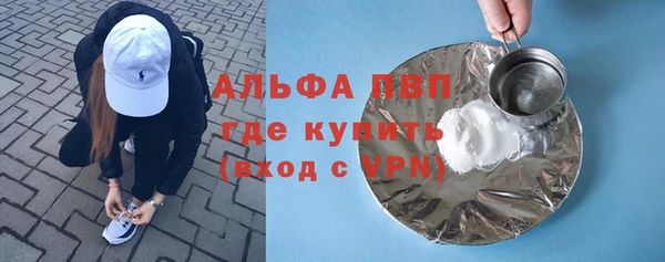 сатива Бородино
