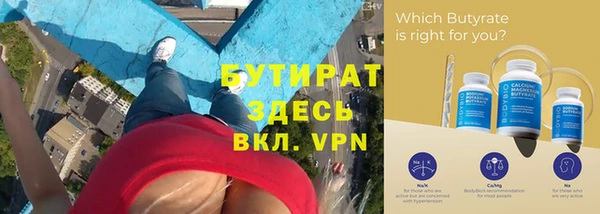 сатива Бородино