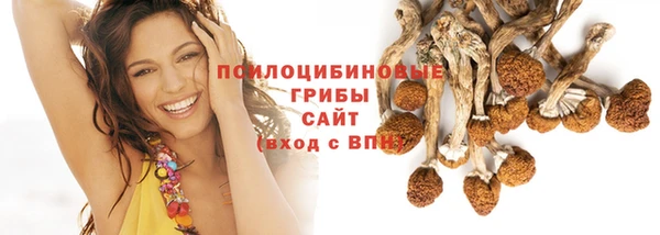 сатива Бородино