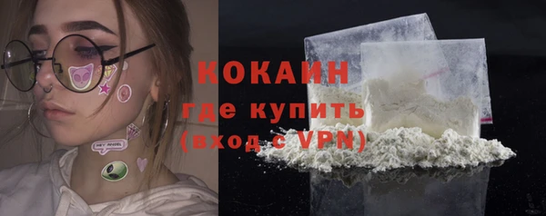 сатива Бородино