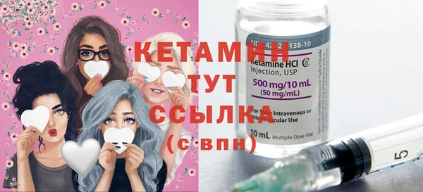 сатива Бородино