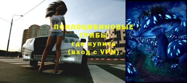 сатива Бородино