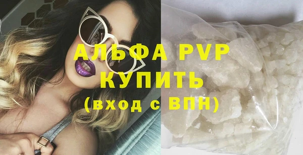 сатива Бородино