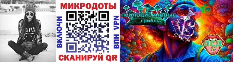 Купить  Бавлы  Галлюциногенные грибы Magic Shrooms 